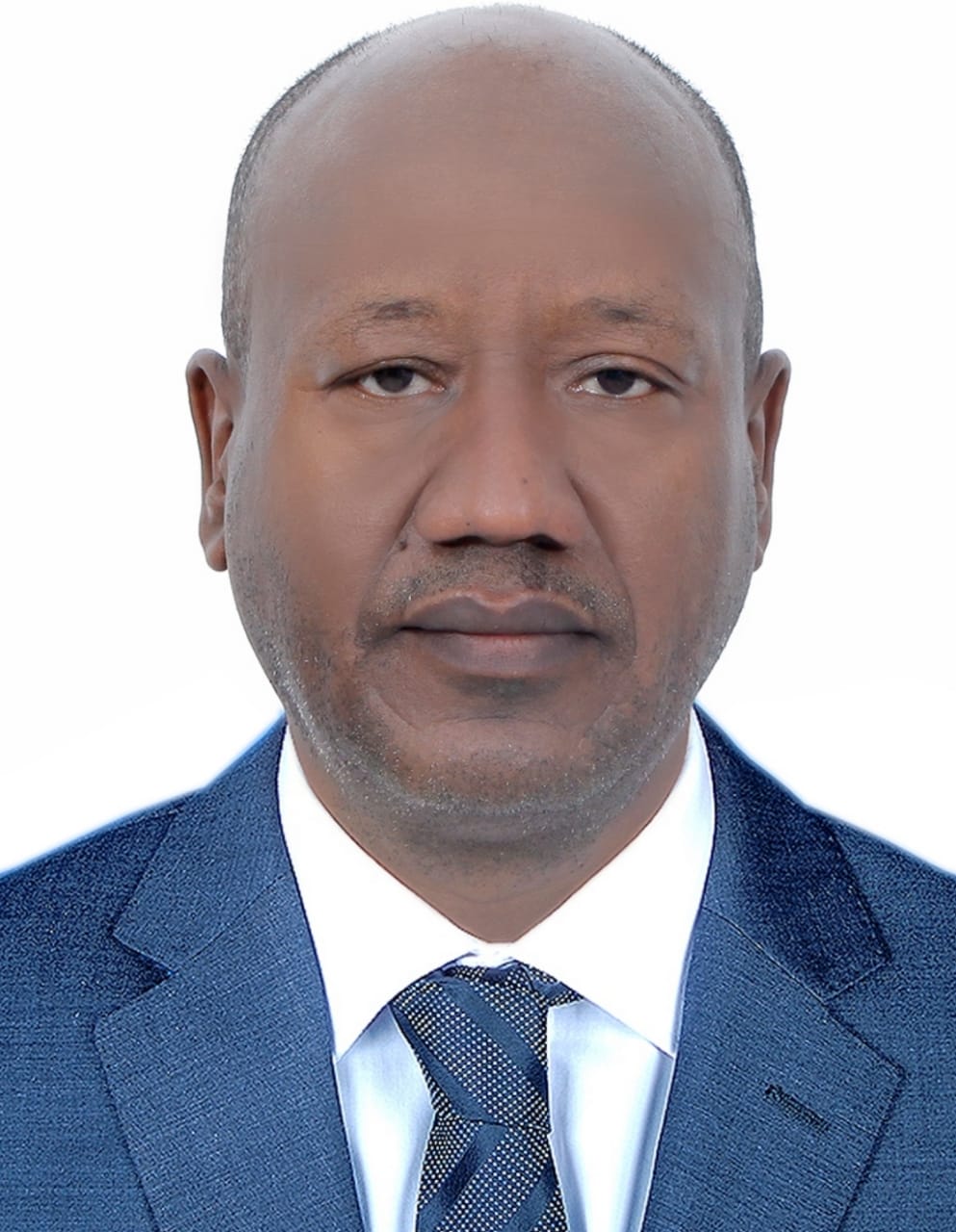 Ayman Abdoun Ahmad Saleh