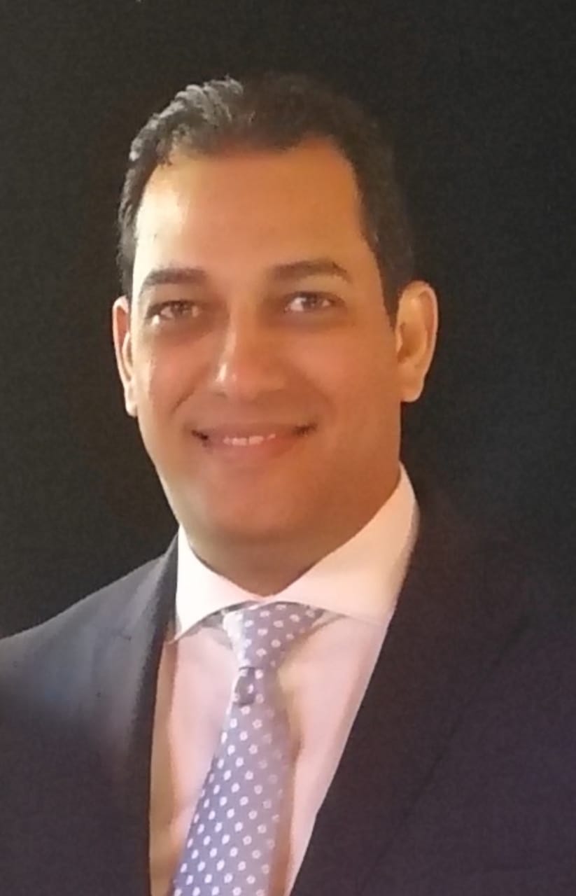 Hany Farghaly Aly Abdelrahman Mohamed