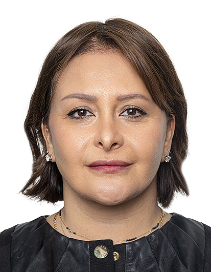 Wessam Hanna Sayer Haddad