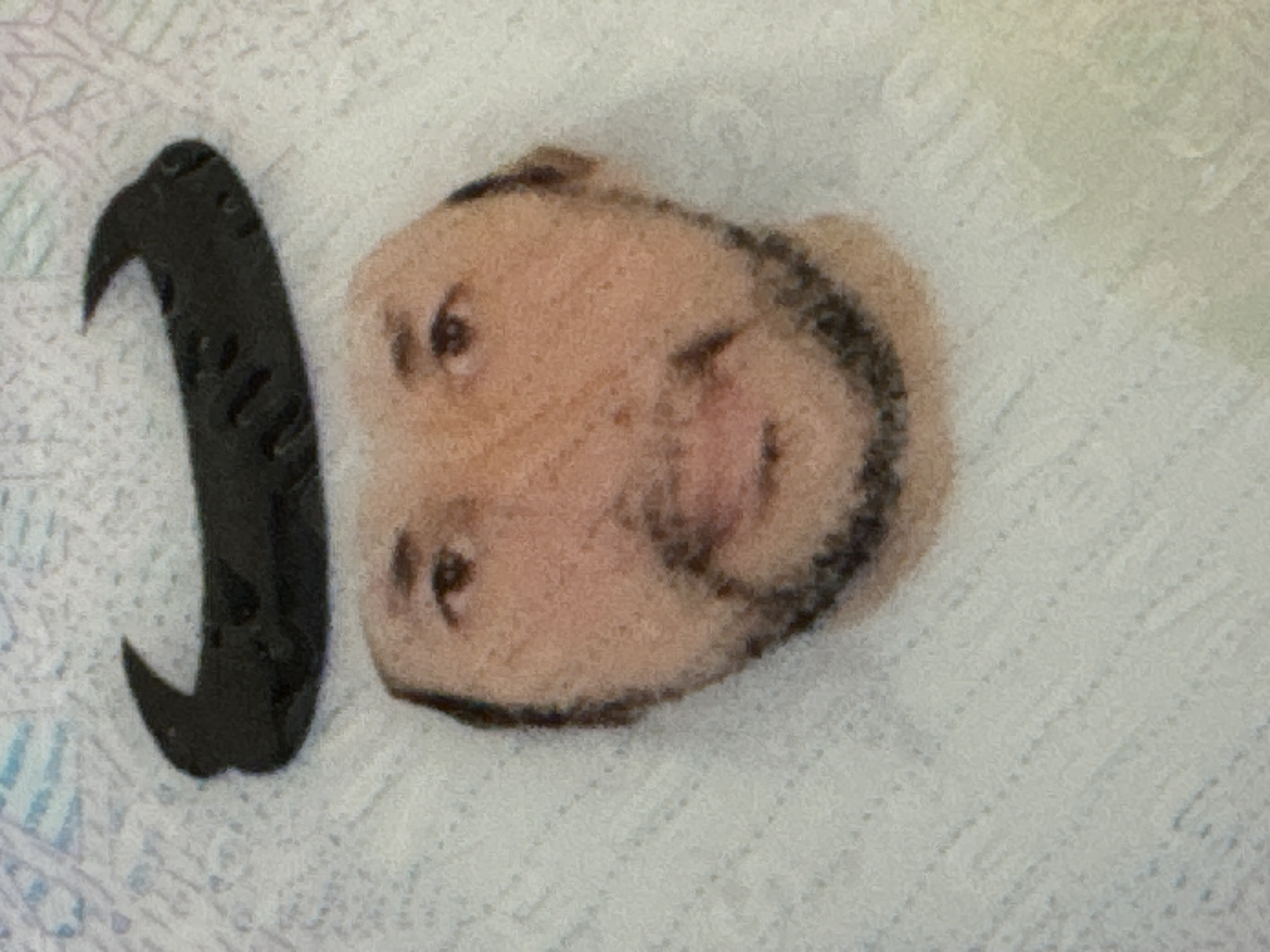 Salem Hamad Saleh Alneaimi