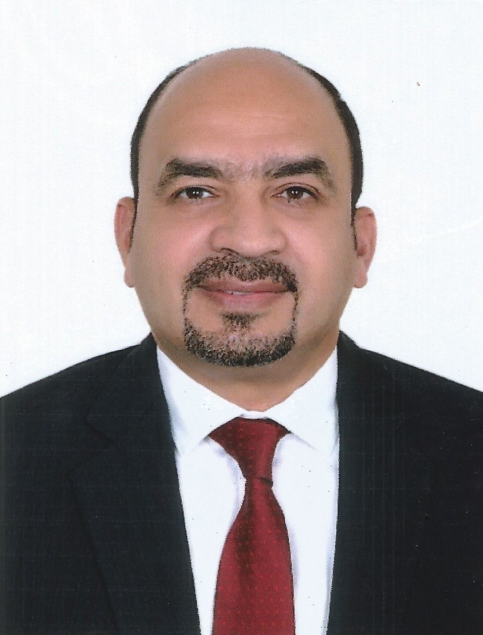 Hesham Salah Mohamed