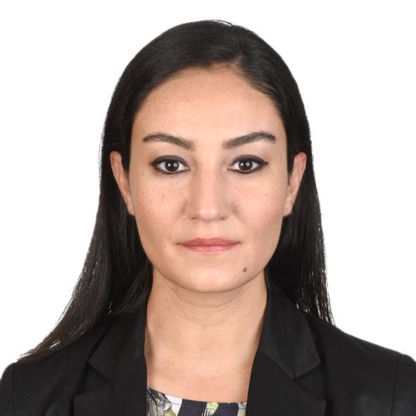 FULYA SARIOGLU