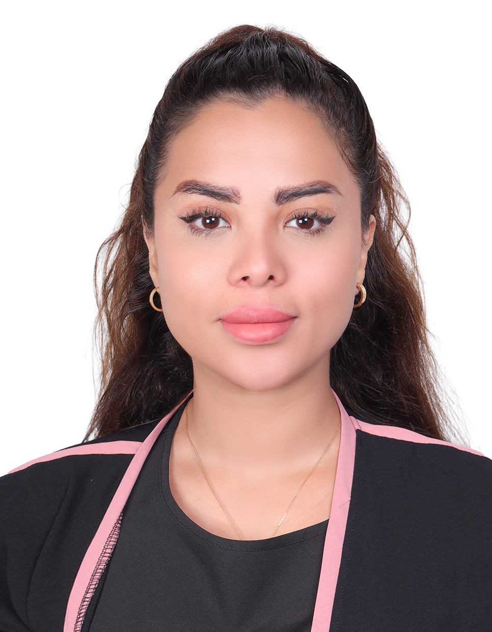 HAIDI ALAA HAFI
