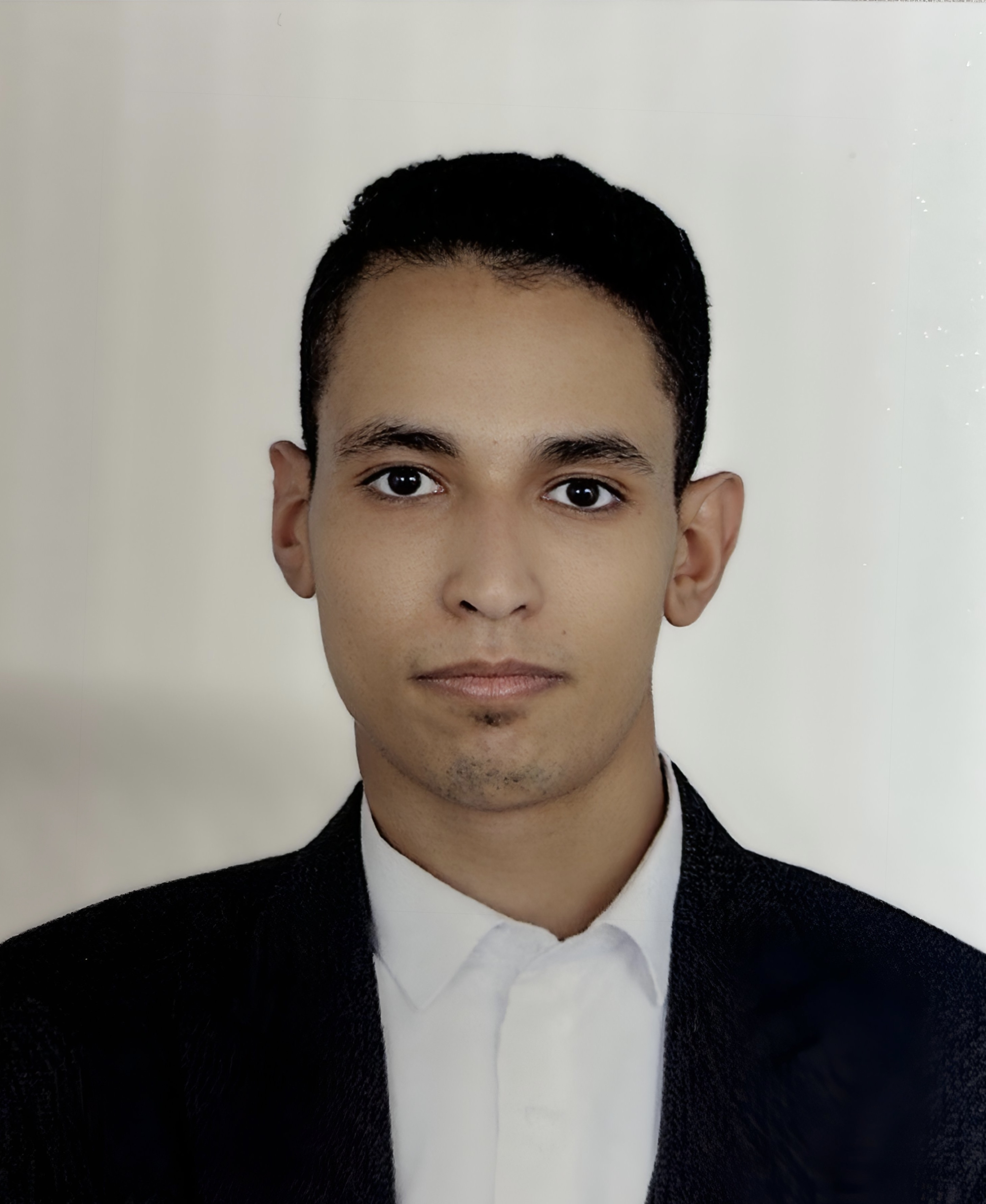 MOHAMED HUSSEIN SAYED MOSTAFA