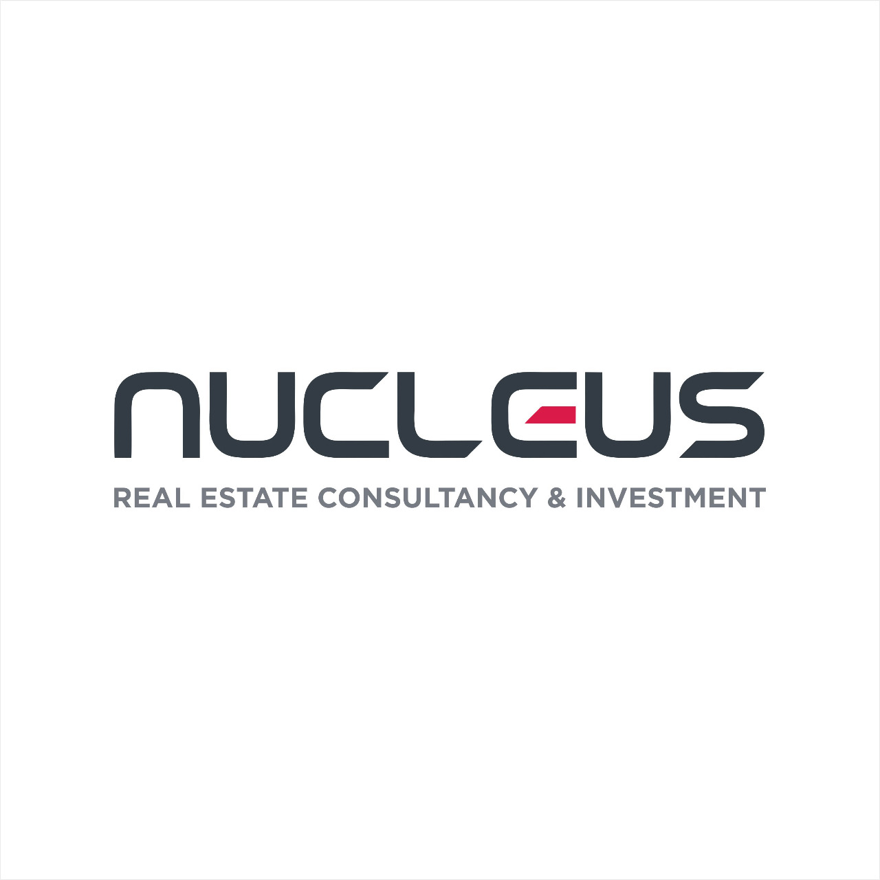 NUCLEUS PROPERTIES L.L.C